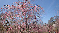 p4041531_thumb.jpg