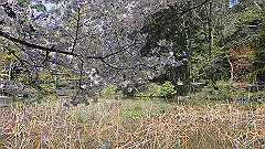 p4041545_thumb.jpg