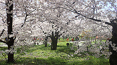 p4041548_thumb.jpg
