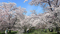 p4041551_thumb.jpg