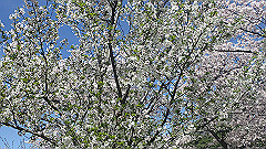 p4041552_thumb.jpg