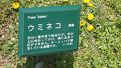 p4041553_thumb.jpg