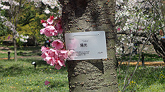 p4041555_thumb.jpg