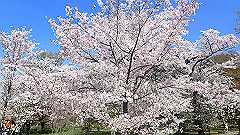 p4041559_thumb.jpg