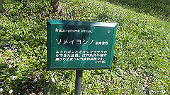 p4041560_thumb.jpg