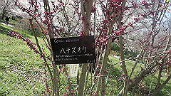 p4041562_thumb.jpg