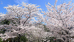 p4041563_thumb.jpg
