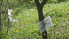 p4041565_thumb.jpg