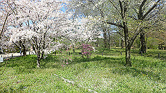 p4041566_thumb.jpg
