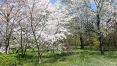 p4041567_thumb.jpg