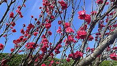 p4041569_thumb.jpg