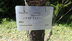 p4041570_thumb.jpg
