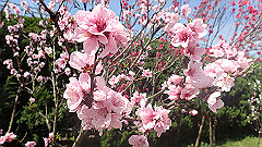 p4041572_thumb.jpg