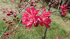 p4041573_thumb.jpg