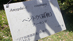 p4041575_thumb.jpg