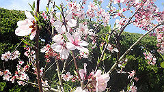 p4041576_thumb.jpg