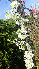p4041577_thumb.jpg