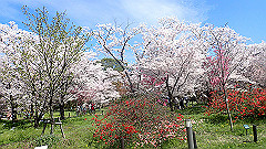 p4041581_thumb.jpg
