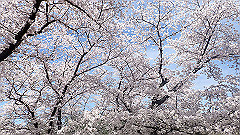 p4041583_thumb.jpg