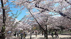 p4041584_thumb.jpg