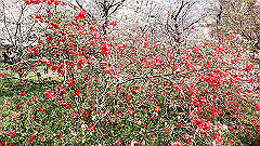 p4041586_thumb.jpg