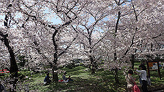 p4041588_thumb.jpg