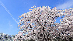 p4041595_thumb.jpg