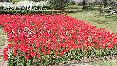 p4041597_thumb.jpg