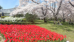 p4041598_thumb.jpg