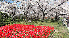 p4041599_thumb.jpg