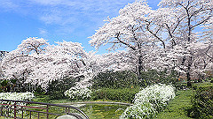 p4041601_thumb.jpg