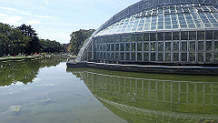 p4041602_thumb.jpg