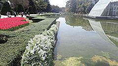 p4041603_thumb.jpg