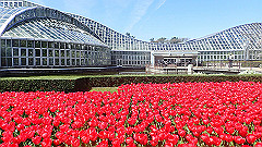 p4041606_thumb.jpg