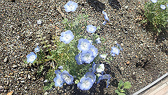 p4041609_thumb.jpg
