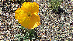 p4041610_thumb.jpg
