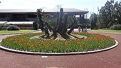 p4041613_thumb.jpg