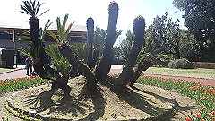 p4041614_thumb.jpg
