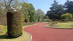 p4041619_thumb.jpg
