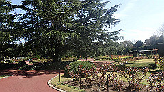 p4041620_thumb.jpg