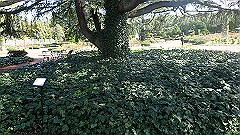 p4041621_thumb.jpg