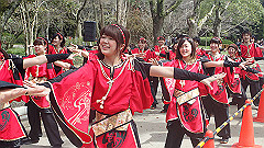 p4041628_thumb.jpg