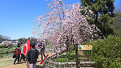 p4041638_thumb.jpg