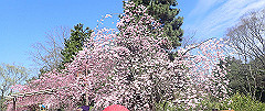 p4041639_thumb.jpg