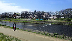 p4041640_thumb.jpg