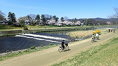 p4041641_thumb.jpg