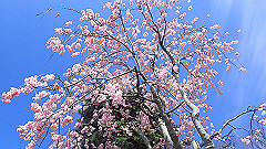 p4041646_thumb.jpg