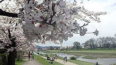 p4041648_thumb.jpg