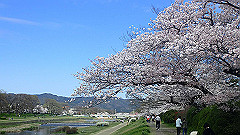 p4041650_thumb.jpg