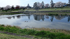 p4041656_thumb.jpg